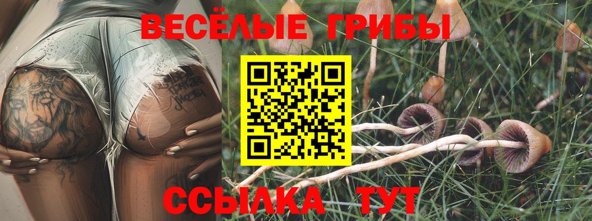 Псилоцибиновые грибы ЛСД  Галлюциногенные грибы ЛСД  Вход с VPN  Ростов Великий 